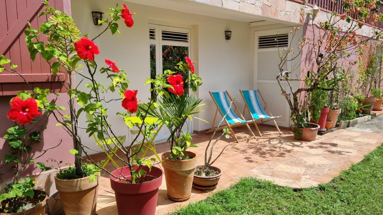 La Visite Tropicale Apartment Riviere-Pilote Luaran gambar